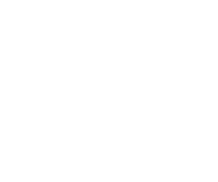 saisei